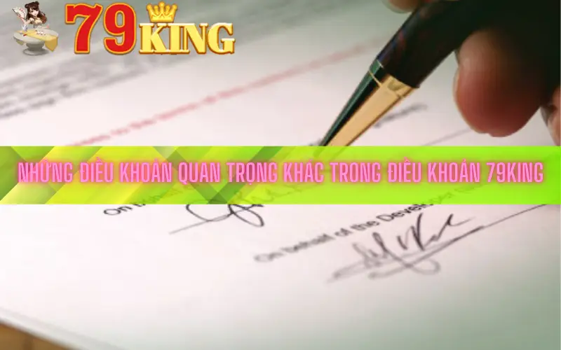 Những điều khoản quan trọng khác trong Điều khoản 79king